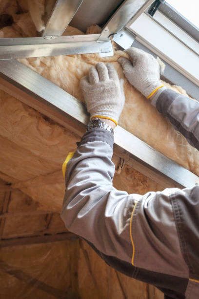 Best Insulation for Existing Homes  in USA